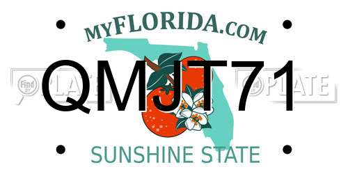 QMJT71 Florida License Plate
