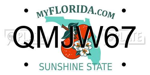 QMJW67 Florida License Plate