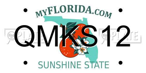 QMKS12 Florida License Plate