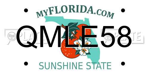 QMLE58 Florida License Plate