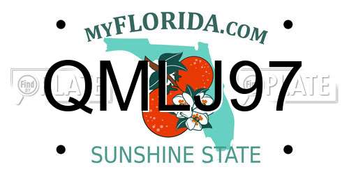 QMLJ97 Florida License Plate