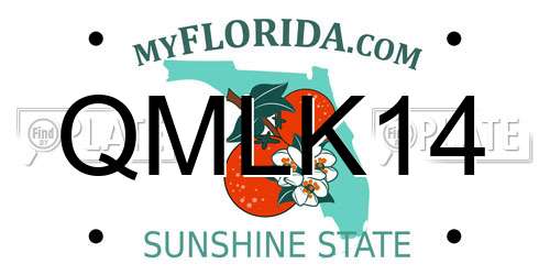 QMLK14 Florida License Plate