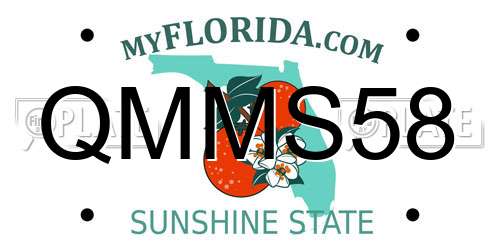 QMMS58 Florida License Plate