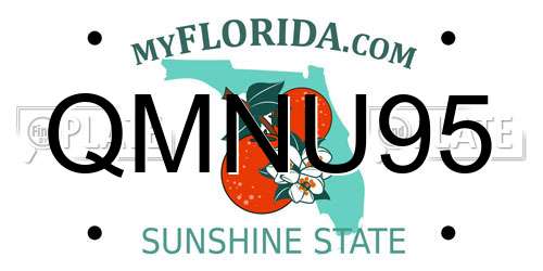 QMNU95 Florida License Plate