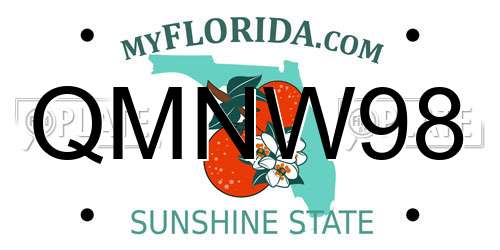 QMNW98 Florida License Plate