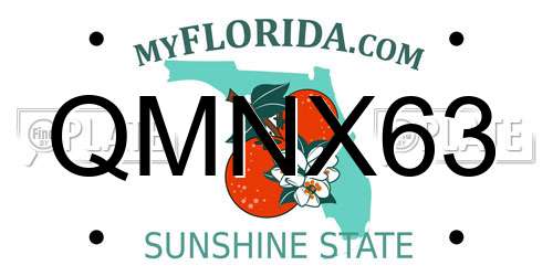 QMNX63 Florida License Plate