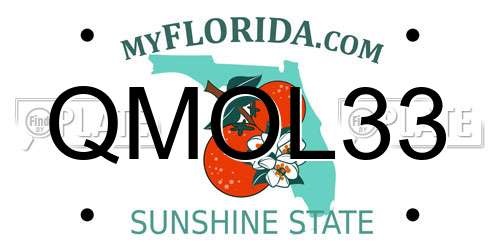 QMOL33 Florida License Plate