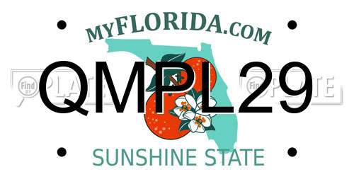 QMPL29 Florida License Plate