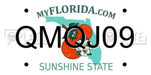 QMQJ09 Florida License Plate