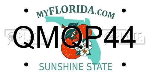 QMQP44 Florida License Plate