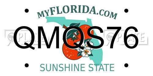 QMQS76 Florida License Plate
