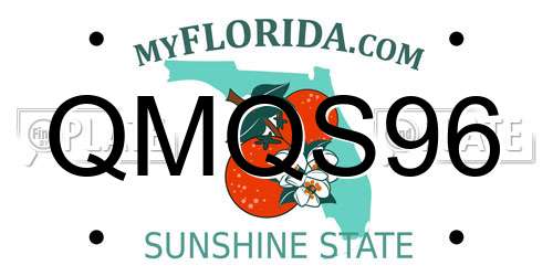 QMQS96 Florida License Plate