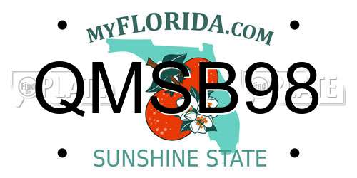 QMSB98 Florida License Plate