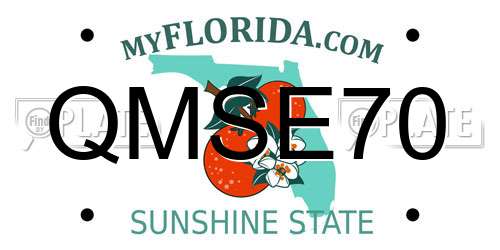 QMSE70 Florida License Plate
