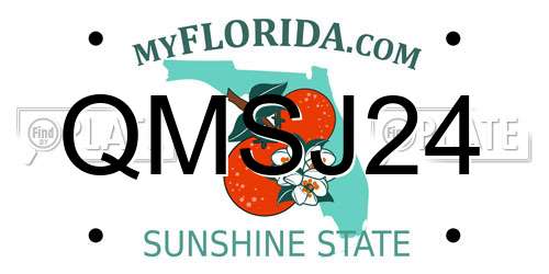 QMSJ24 Florida License Plate