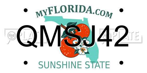 QMSJ42 Florida License Plate