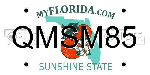 QMSM85 Florida License Plate