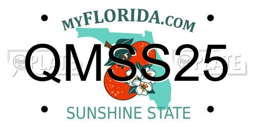 QMSS25 Florida License Plate