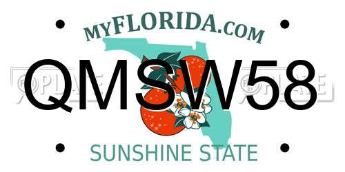 QMSW58 Florida License Plate