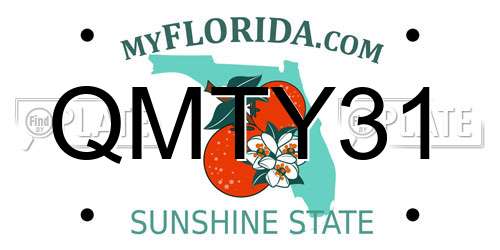 QMTY31 Florida License Plate