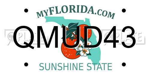 QMUD43 Florida License Plate