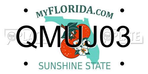 QMUJ03 Florida License Plate