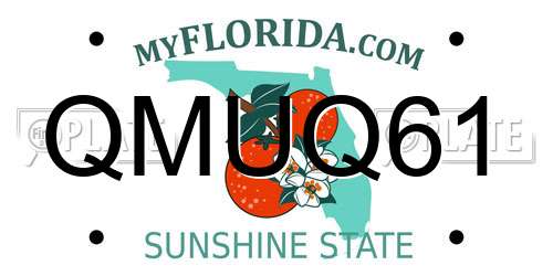QMUQ61 Florida License Plate