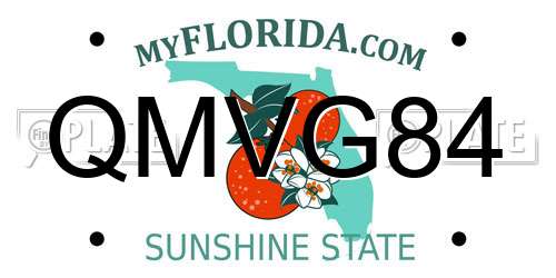 QMVG84 Florida License Plate