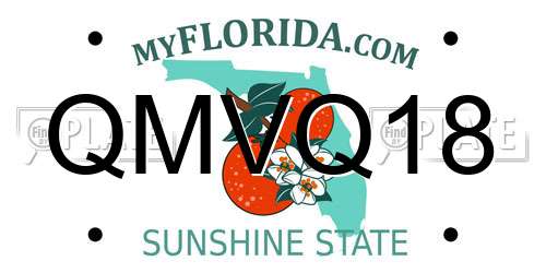 QMVQ18 Florida License Plate