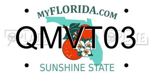 QMVT03 Florida License Plate