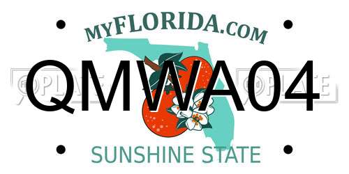 QMWA04 Florida License Plate