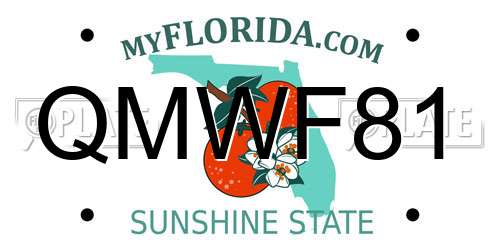 QMWF81 Florida License Plate