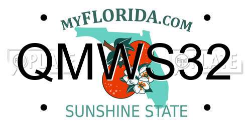 QMWS32 Florida License Plate