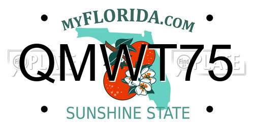 QMWT75 Florida License Plate