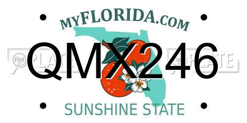 QMX246 Florida License Plate
