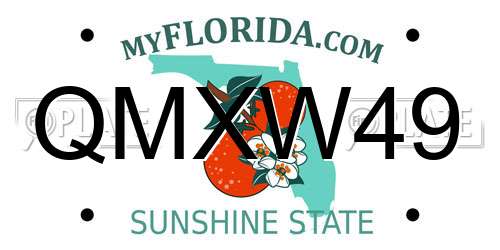 QMXW49 Florida License Plate