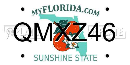 QMXZ46 Florida License Plate