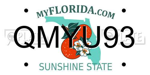 QMYU93 Florida License Plate
