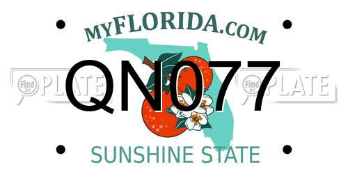 QN077 Florida License Plate