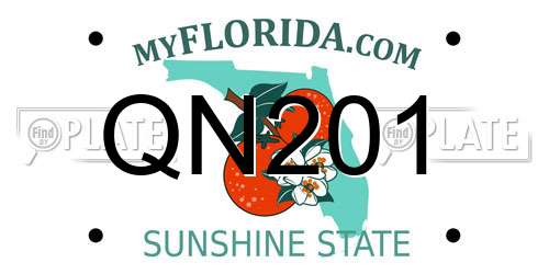 QN201 Florida License Plate