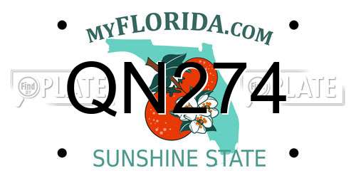 QN274 Florida License Plate