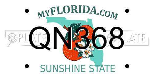 QN368 Florida License Plate