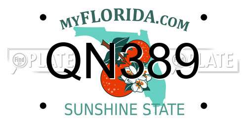 QN389 Florida License Plate