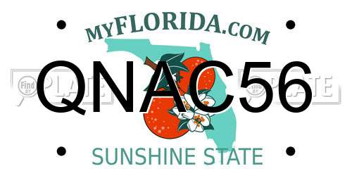 QNAC56 Florida License Plate