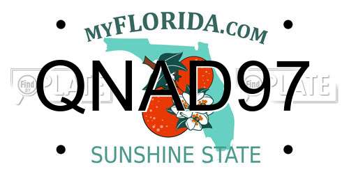 QNAD97 Florida License Plate