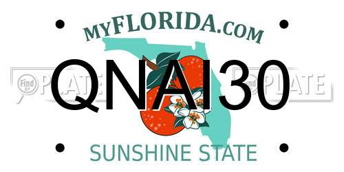 QNAI30 Florida License Plate