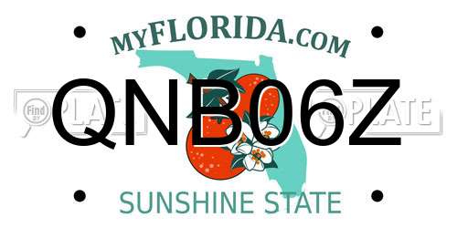 QNB06Z Florida License Plate