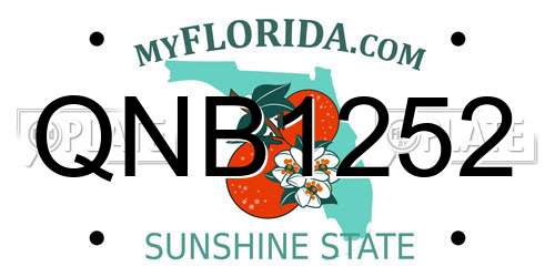 QNB1252 Florida License Plate