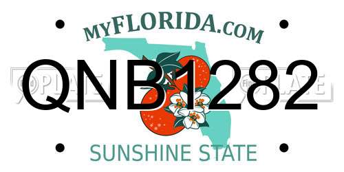 QNB1282 Florida License Plate