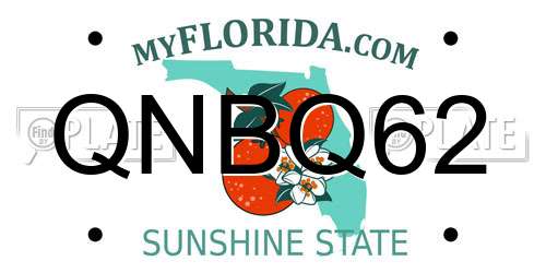 QNBQ62 Florida License Plate